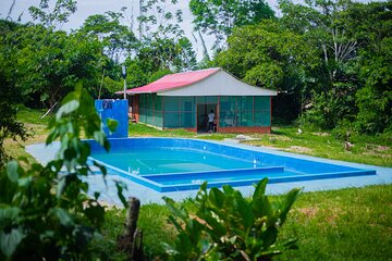 Iquitos: 2 Days /1 Nigth AMAZON LODGE & WILD 