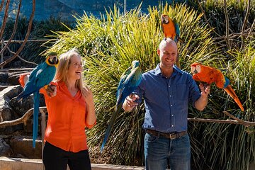 Maleny Botanic Gardens Bird Aviary Experience Ticket