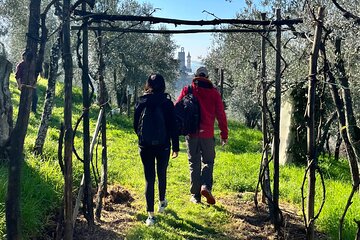 Hike with Lunch & Wine in da Vinci’s Land in Tuscany