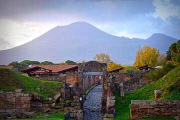 From Rome Pompeii and Vesuvius Guided Day Trip with Lunch