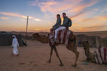 Dubai Desert Adventure Camel Ride, Shows and BBQ Dinner