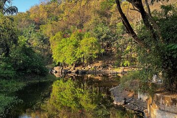 Sanjay Gandhi National Park and Kanheri Caves Day Private Tour