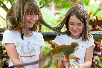 Punta Cana Monkeyland and Zipline Two Adventures in One Day