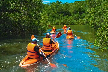 Bali Mangrove Canoeing Tour