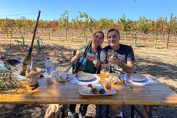 Algarve Romantic Vineyard Picnic