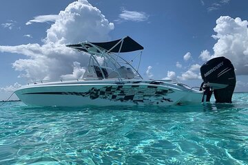 Private Short Tour to Stingray City and Local Welcome Drink