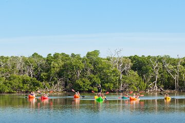 Half-Day Morning Trip from Key West with Kayaking and Snorkeling 