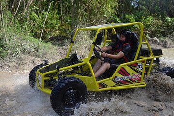 Dune Buggies Adventure