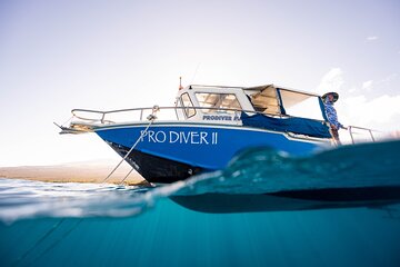 2-Tank Dive Featuring the Molokini Crater