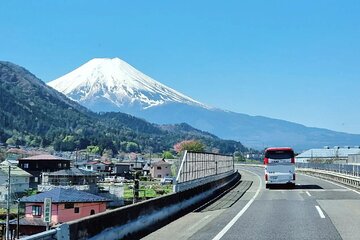 Private Mt Fuji and Hakone Day Tour from Tokyo