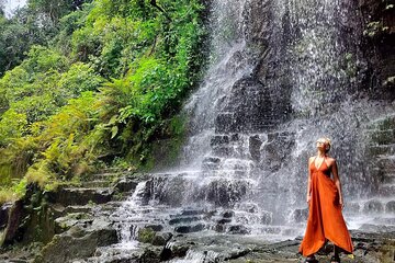 Bali Waterfalls and Temples Tour