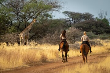 Exhilarating Horseback Safari from Johannesburg