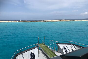 CRYSTAL WATERS SEA EXPERIENCE, from Platja d'en Bossa