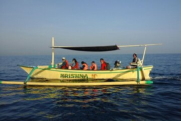 Sunrise Dolphin Lovina Beach and North Bali Sightseeing Tour