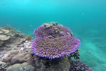 Bali Lempuyang Gate of Heaven and Private Blue Lagoon Snorkeling