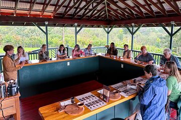 Craft Chocolate Tasting and Farm Experience on the Big Island