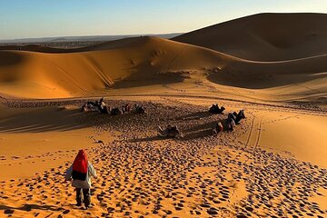 Sahara Desert Tour in 3 Days From Marrakech