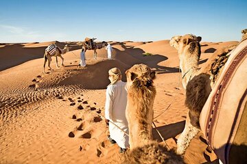 Dubai Exclusive Private Evening Desert Safari With BBQ Dinner