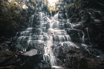 Best of Bali Waterfall, Tegalalang Rice Terrace, Monkey Forest