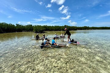 Guided Clear Kayak Eco-Tour Near Key West