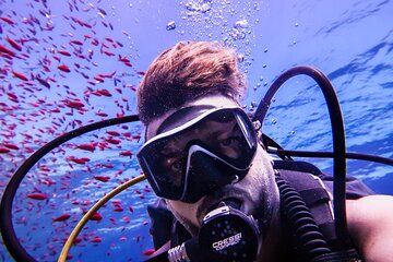 Scuba Dive and Explore Aqaba's Red Sea with a Private Guide