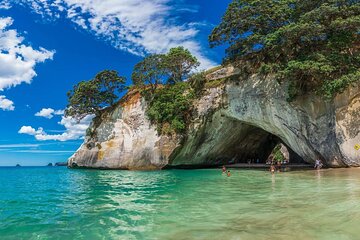 [Stevong Travel] Cathedral Cove and Hot Water Beach Private Tour 