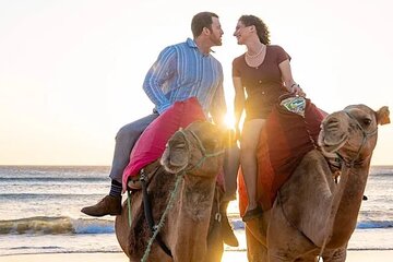 Sunset Camel Ride on Achakkar Beach including Traditional Dinner