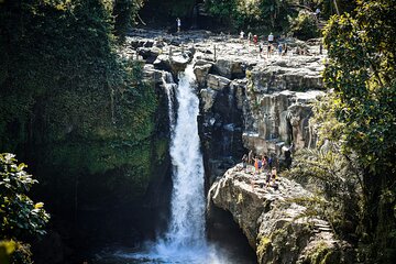 Full Day Ubud Tanah Lot Uluwatu All Inclusive Private Tour