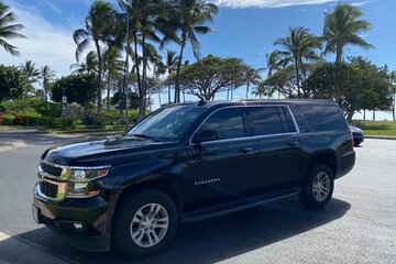 Private Arrival Transfer: Kona International Airport to Big Island Hotels