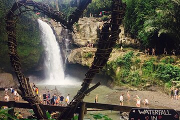 Full Day Private Tour in Ubud Jungle Swing and Waterfall 