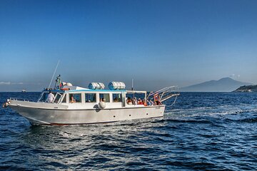 Boat Tour to Visit Capri with Transfer Included