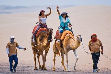 Ica: Camel Ride Desert Experience near Huacachina