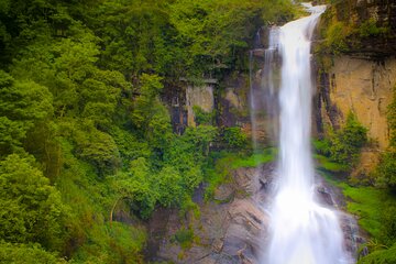 Day Tour To Hill City of Kandy From Bentota