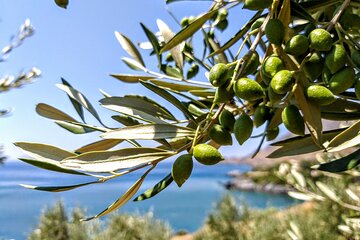 4 days of Culinary Exploration in Laconia, Peloponnese