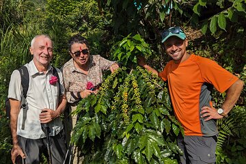 Sarangkot Village Coffee Culture and Authentic Local Life Tour