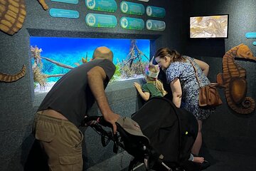Ultimate Family Adventure: Cape Town and Beyond