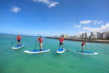 Stand Up Paddle Open Group Lesson (Waikiki Courtesy Shuttle)