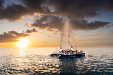 Key West Dolphin Watch Sunset Sail with Premium Wine, and Tapas Pairings