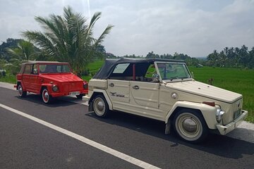 Bali Classic Volkswagen Safari and Kintamani Volcano Private Tour