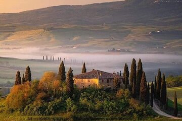 Chianti Charm & Passion: Private Day Trip from Florence