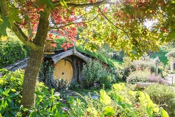 Hobbiton Movie Set Small Group Tour from Auckland