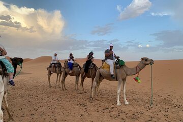3 Day Group Tour From Marrakech To Fes Via Merzouga Desert Dunes 