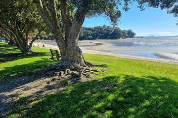 Auckland Town and Country Delights Tour