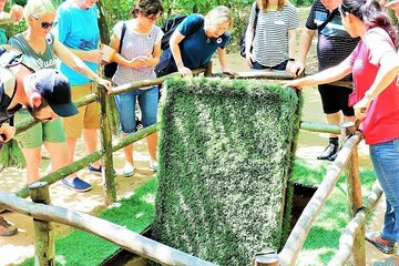 Cu Chi Tunnel Half Day Tour