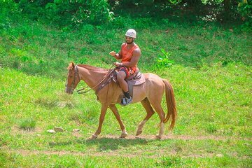 Buggy, Horse and Zip Line with Lunch included from Punta Cana