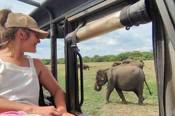 Minneriya National Park Elephant Jeep Safari Private Tour