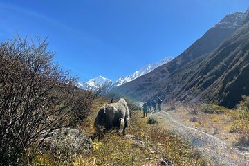 Langtang Valley Trek 