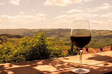 Valpolicella Wine & Olive Oil Full Day Private Tour from Venice