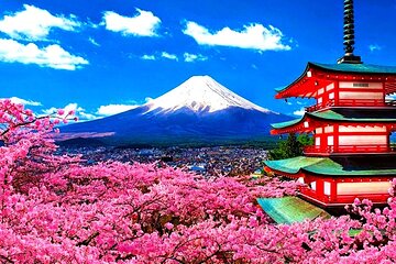 Private Mount Fuji and Hakone sightseeing Day trip with guide 