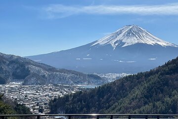 Mt FUJI - Panoramic Tour w/ Hoto Lunch, JP Sake & Onsen tatto OK!